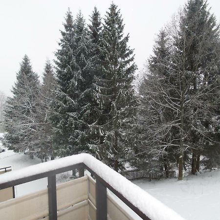 Ferienwohnung Mit Blick In Den Bayrischen Wald Oberhalb Von Sankt Engelmar سانكت انجلمار المظهر الخارجي الصورة
