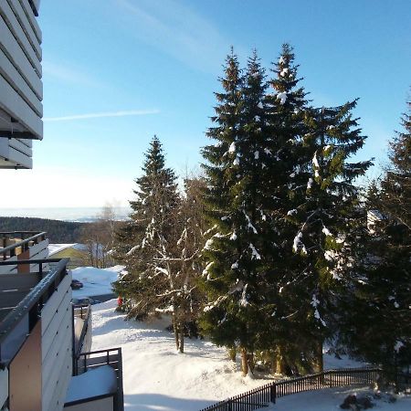 Ferienwohnung Mit Blick In Den Bayrischen Wald Oberhalb Von Sankt Engelmar سانكت انجلمار المظهر الخارجي الصورة