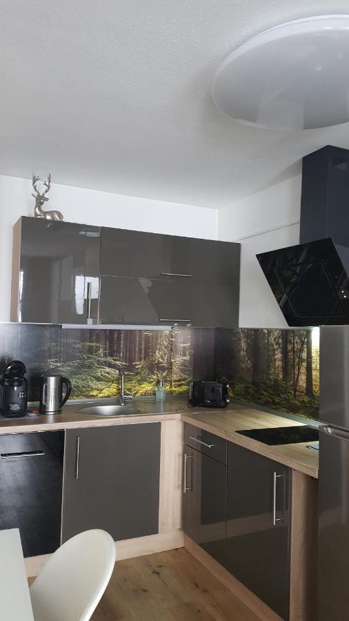Ferienwohnung Mit Blick In Den Bayrischen Wald Oberhalb Von Sankt Engelmar سانكت انجلمار المظهر الخارجي الصورة
