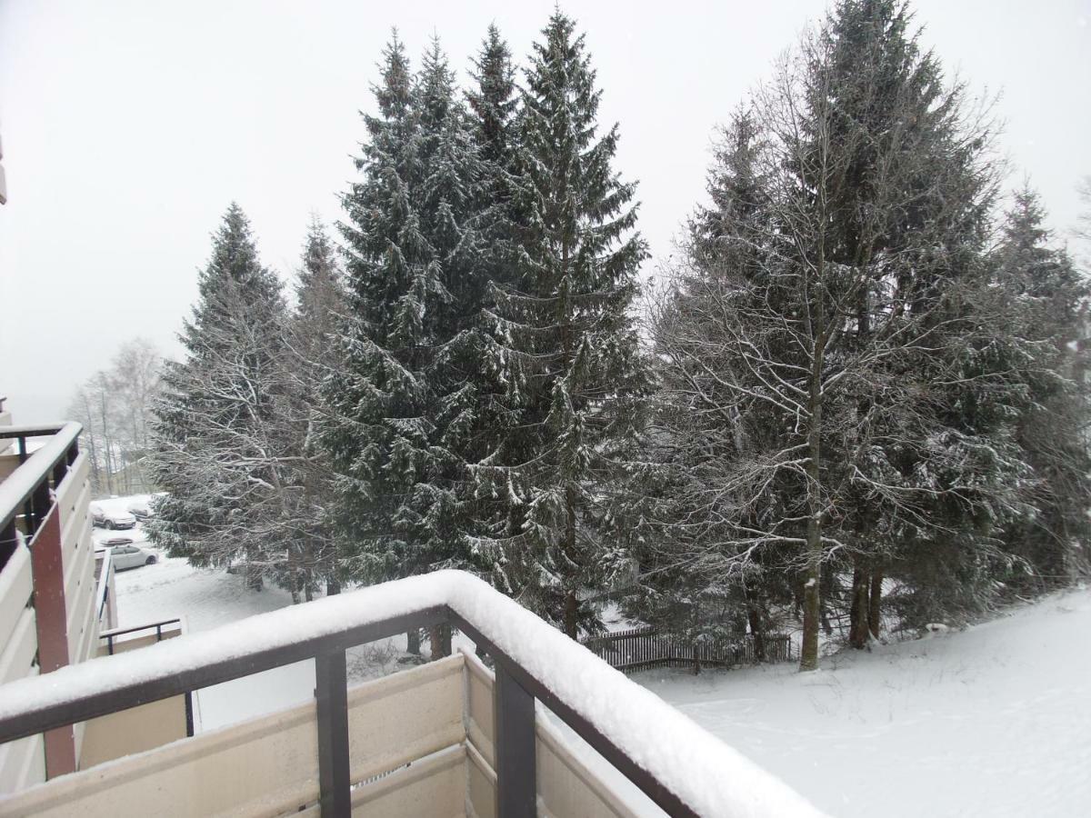 Ferienwohnung Mit Blick In Den Bayrischen Wald Oberhalb Von Sankt Engelmar سانكت انجلمار المظهر الخارجي الصورة