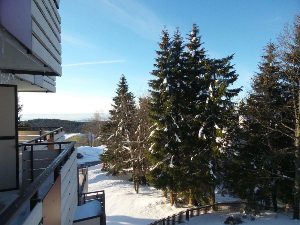 Ferienwohnung Mit Blick In Den Bayrischen Wald Oberhalb Von Sankt Engelmar سانكت انجلمار المظهر الخارجي الصورة