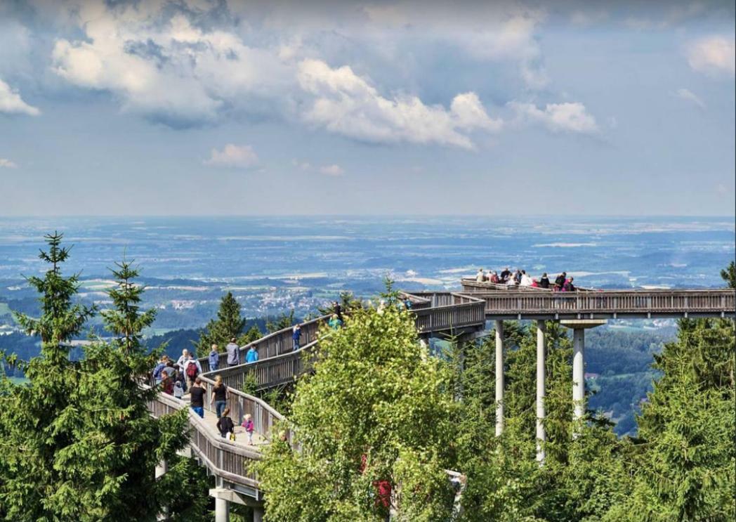 Ferienwohnung Mit Blick In Den Bayrischen Wald Oberhalb Von Sankt Engelmar سانكت انجلمار المظهر الخارجي الصورة