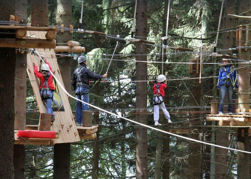 Ferienwohnung Mit Blick In Den Bayrischen Wald Oberhalb Von Sankt Engelmar سانكت انجلمار المظهر الخارجي الصورة