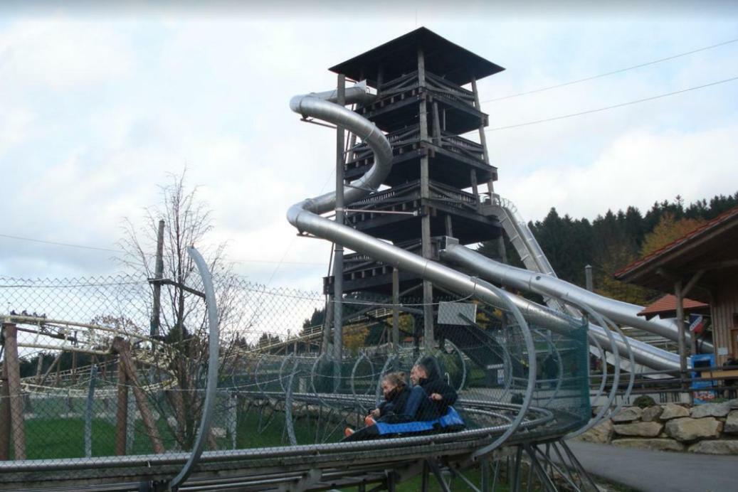 Ferienwohnung Mit Blick In Den Bayrischen Wald Oberhalb Von Sankt Engelmar سانكت انجلمار المظهر الخارجي الصورة